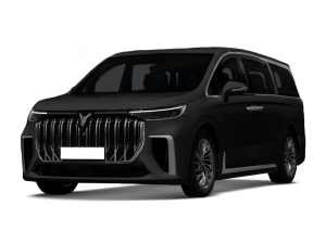 Коврики EVA на Voyah Dream 2021-